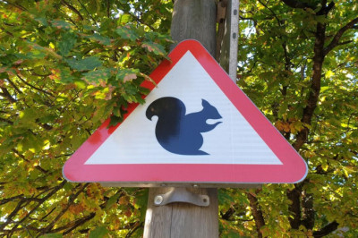 Kolumnist: erakondade toetusprotsendid on sageli osa rahva suunamisest “õigete” valikute poole