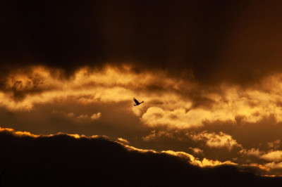 20 aastat hiljem: venelased tulevad tagasi