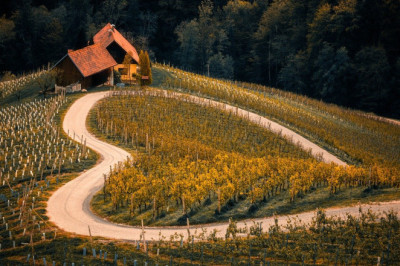 Kujutage ette, et see on 