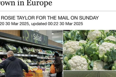 Starmer asendab põllumajanduse illegaalse immigratsiooniga