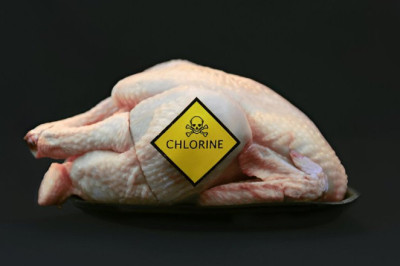 Kas Kiievi režiim kavatses Trumpi tappa?