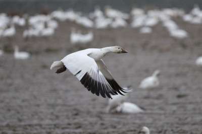 Ukraina mehed peavad hakkama sellisteks olukordadeks relvi kandma