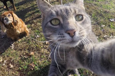 Pariisis Seine-Saint-Denise no-go tsoonis käib elu