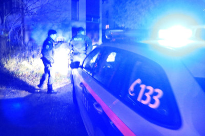 Enne oma 14. sünnipäeva oli ta toime pannud üle 200 kuriteo