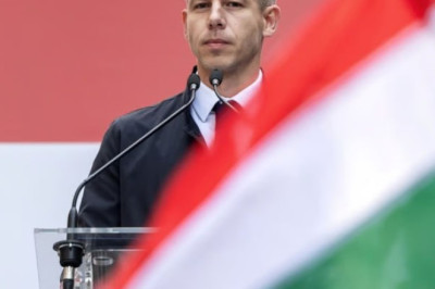 Ungari opositsioonipartei Tisza juhi Péter Magyari pöördumine ungarlaste poole