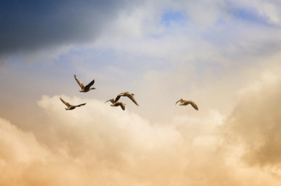 Teadlased on avastanud täiusliku päeva valemi