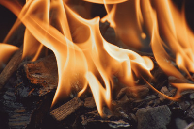 Viinis illegaalselt viibivale perele 50 000 eurot aastas