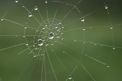 Avalik kiri Kliimaministeeriumile