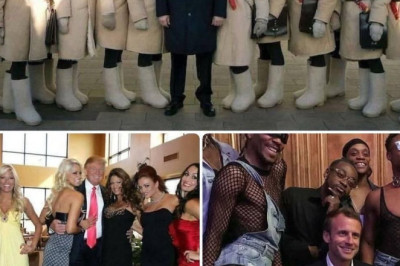 Piltuudis: Putin, Trump ja Macron