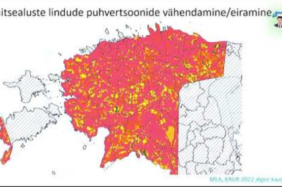 Urmas Maranik: Arendajad teevad isetegevust ja planeerivad ning arendavad seal, kus parasjagu sobib