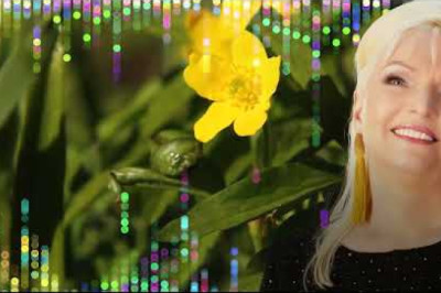 Marju Länik - Palju head on alles ees