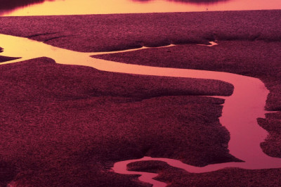 Elektrikatkestus: Net Zero Agenda düstoopiline mõju