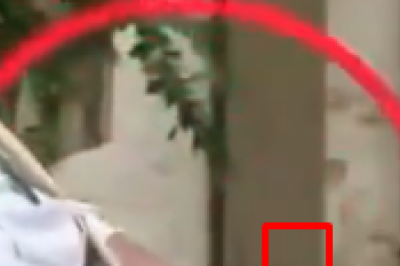 Siin pole midagi vaadata, ainult CGI-pildiga paavst lihavõttepühadel ja ... kolme käega!