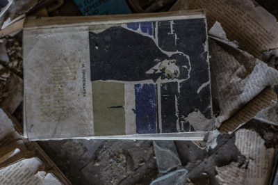 Toomas Hendrik Ilves liitus Üle-Euroopalise parteiga 