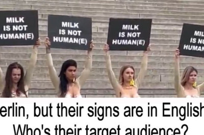 Seksikad naisveganaktivistid hullutavad Berliinis inimesi